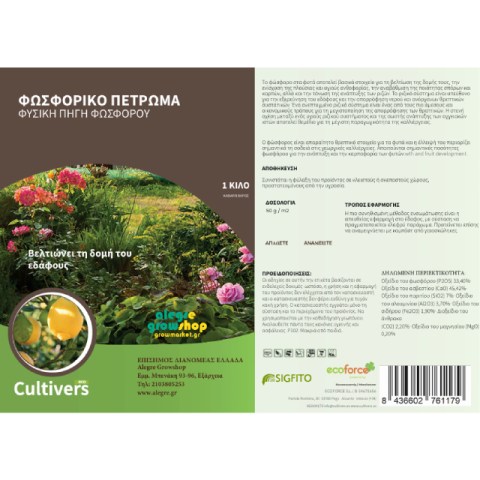 cul 05-261-1